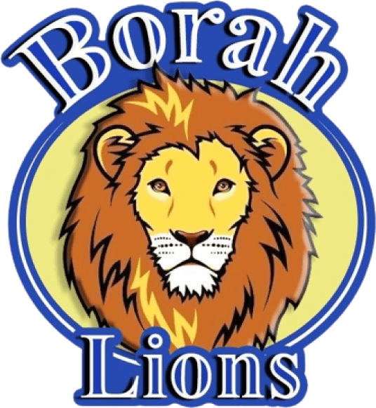 Borah Elementary School